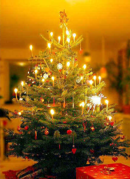 L'albero di Natale - l'ingrediente pi importante del Natale in Germania