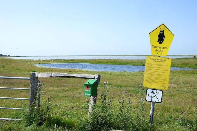 Fehmarn - il parco 'Grner Brink' nel nord dell'isola