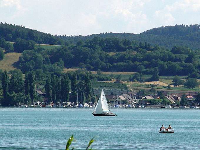 Il Lago di Costanza vicino a Radolfzell (Untersee)